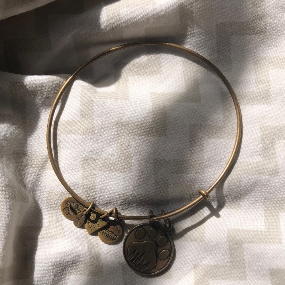 Alex & Ani Paw bracelet
